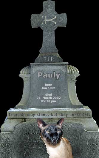 Gravestone of Cat Pauly